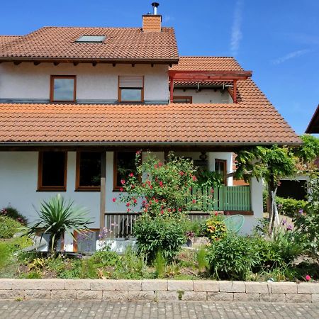 Soutterain - Wohnung Mit Senkgarten Weingarten  エクステリア 写真